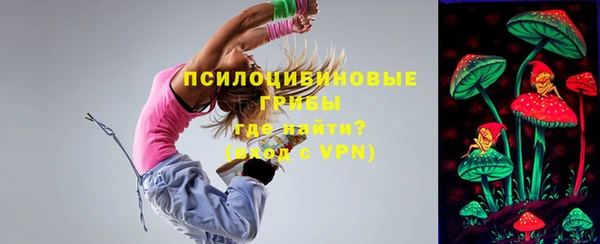 бошки Медногорск
