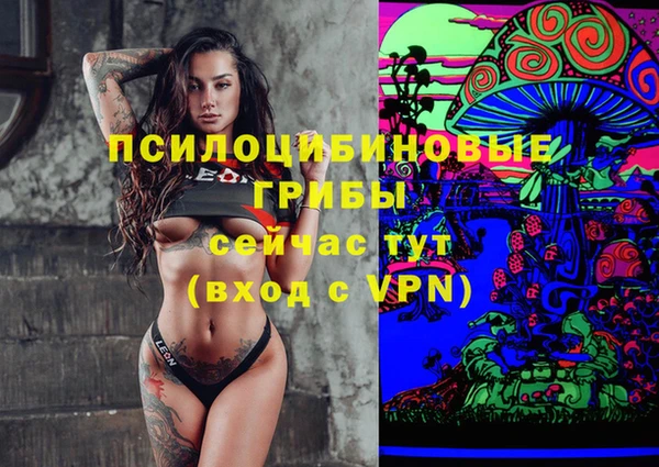 трава Магас