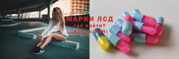 трава Магас