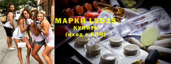 трава Магас